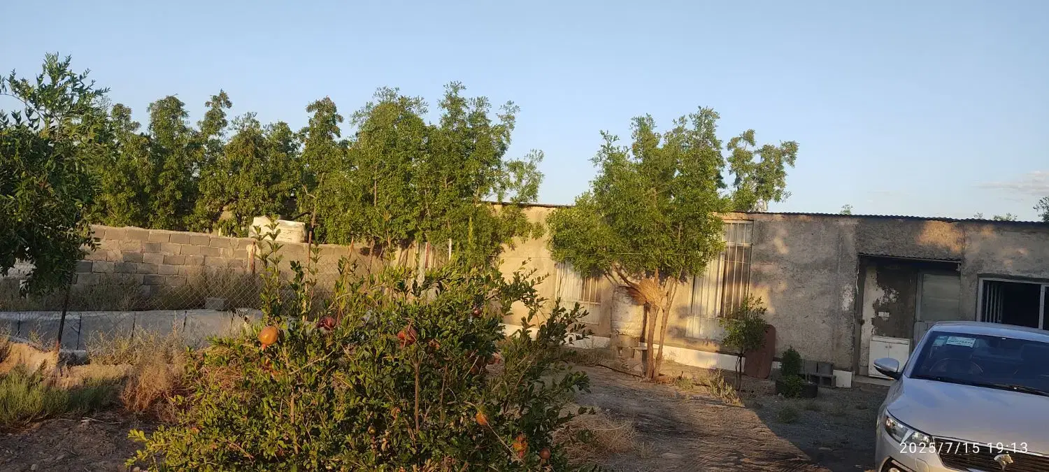 تصویر 7