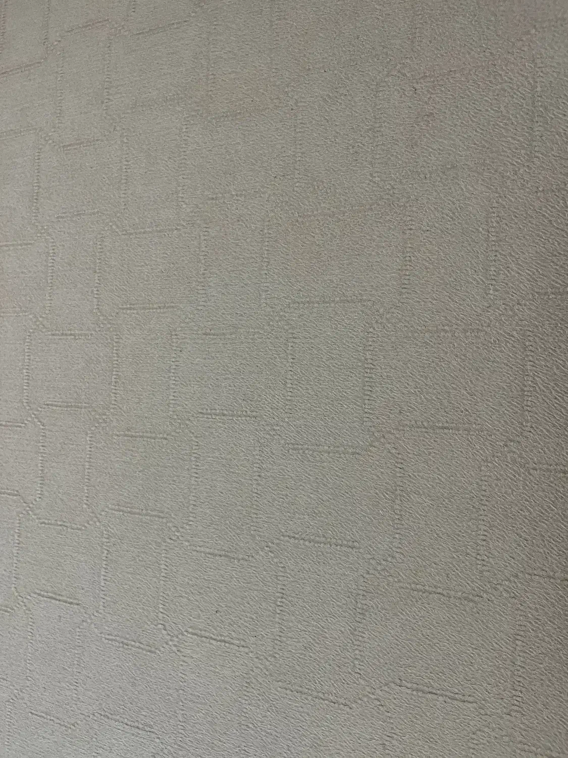 موکت نو|موکت|مرودشت, دولت آباد|دیوار