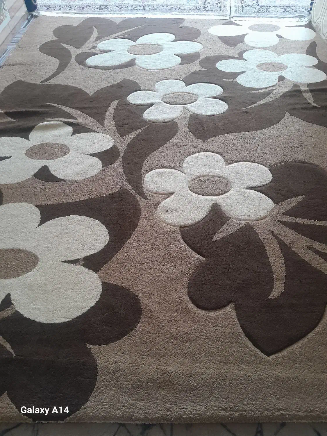 یک عدد گلیم فرش|گلیم، جاجیم، گبه|یاسوج, |دیوار