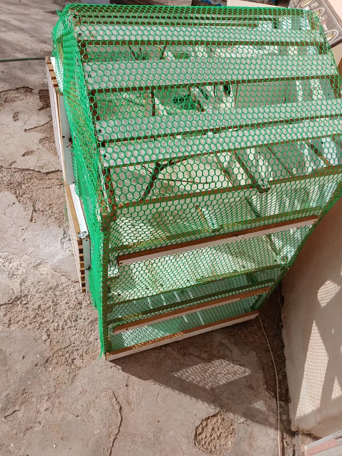 سلام قفس به شکل خونه دوطبقه باچوب MDFساخته شده|لوازم جانبی حیوانات|کرمان, |دیوار