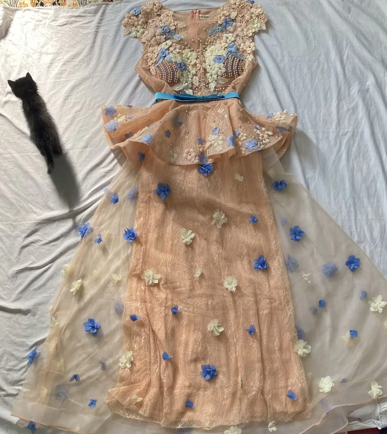 لباس شب|لباس|خمینیشهر, |دیوار