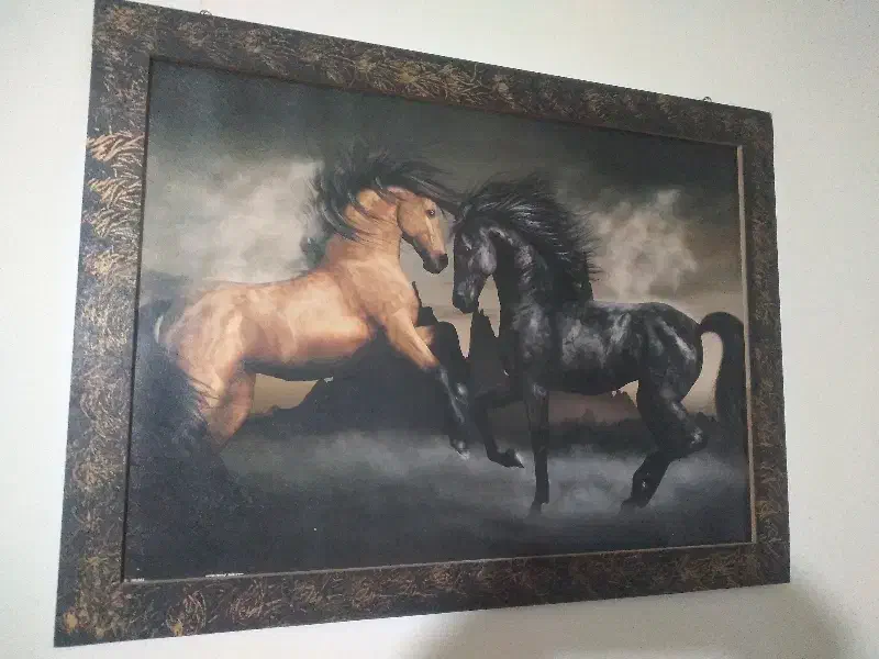 تابلو عکس|تابلو، نقاشی، عکس|کرج, خرمدشت|دیوار