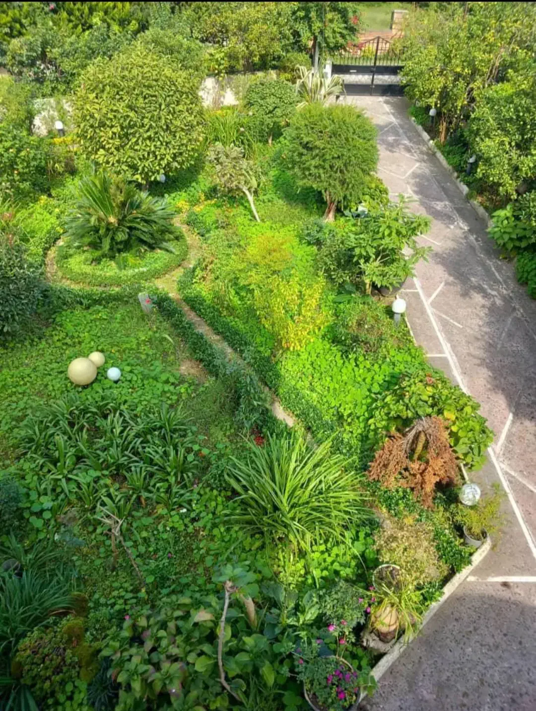 فروش ویلا 650 متل قو|فروش خانه و ویلا|سلمان‌شهر, |دیوار