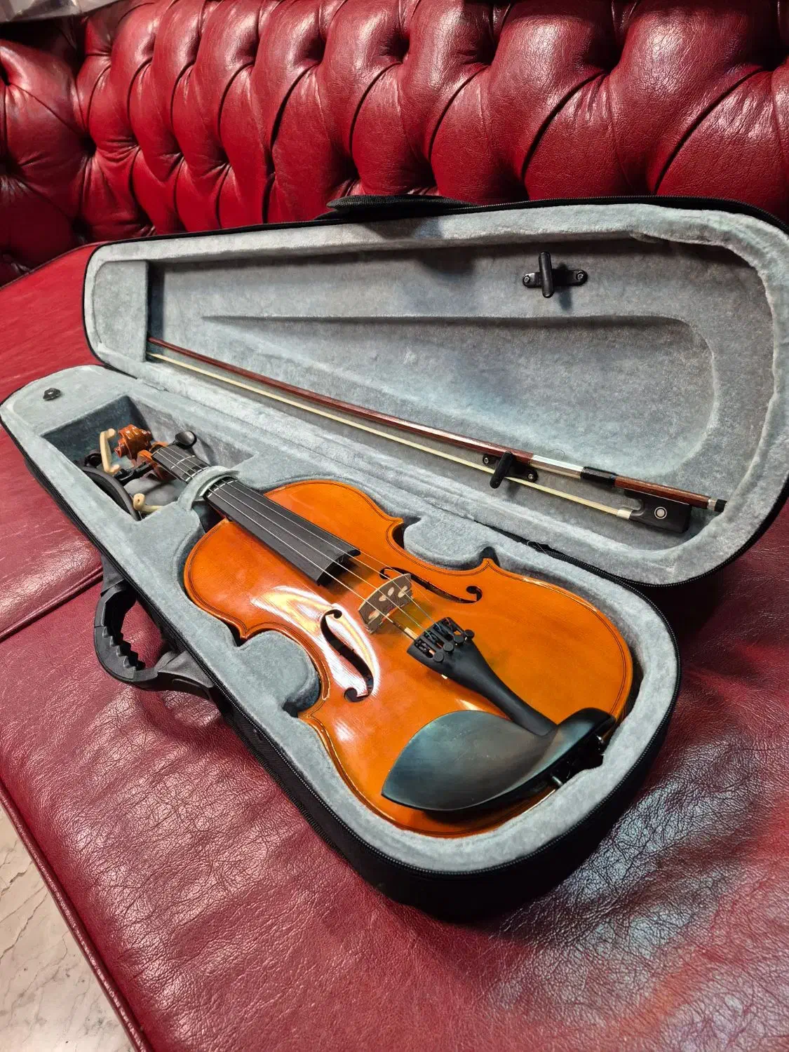 ویالون نو و خوش صدا|ویولن|شهریار, شهریار|دیوار