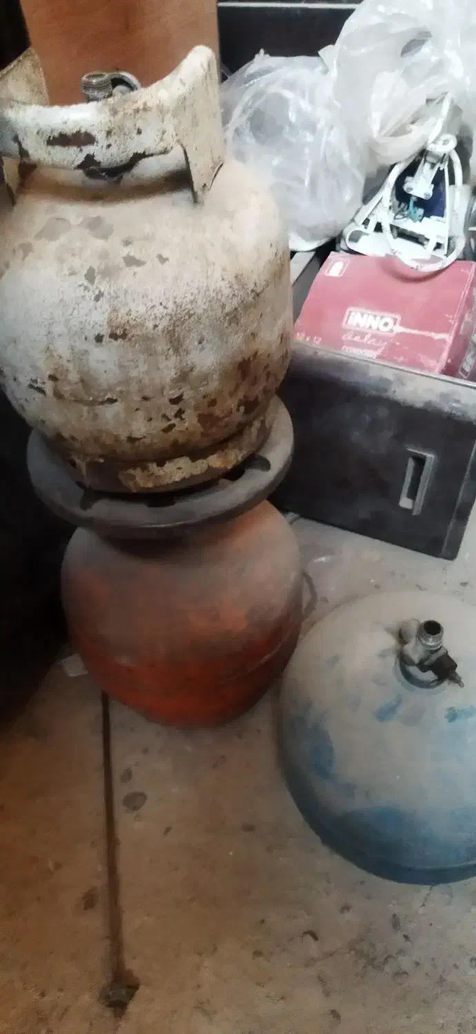 پیک نیک|اجاق گاز و لوازم برقی پخت‌وپز|یزد, |دیوار