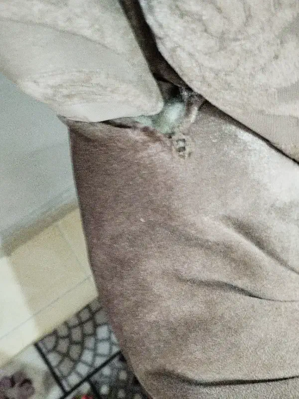 مبل|مبلمان خانگی و میز عسلی|وحیدیه, |دیوار