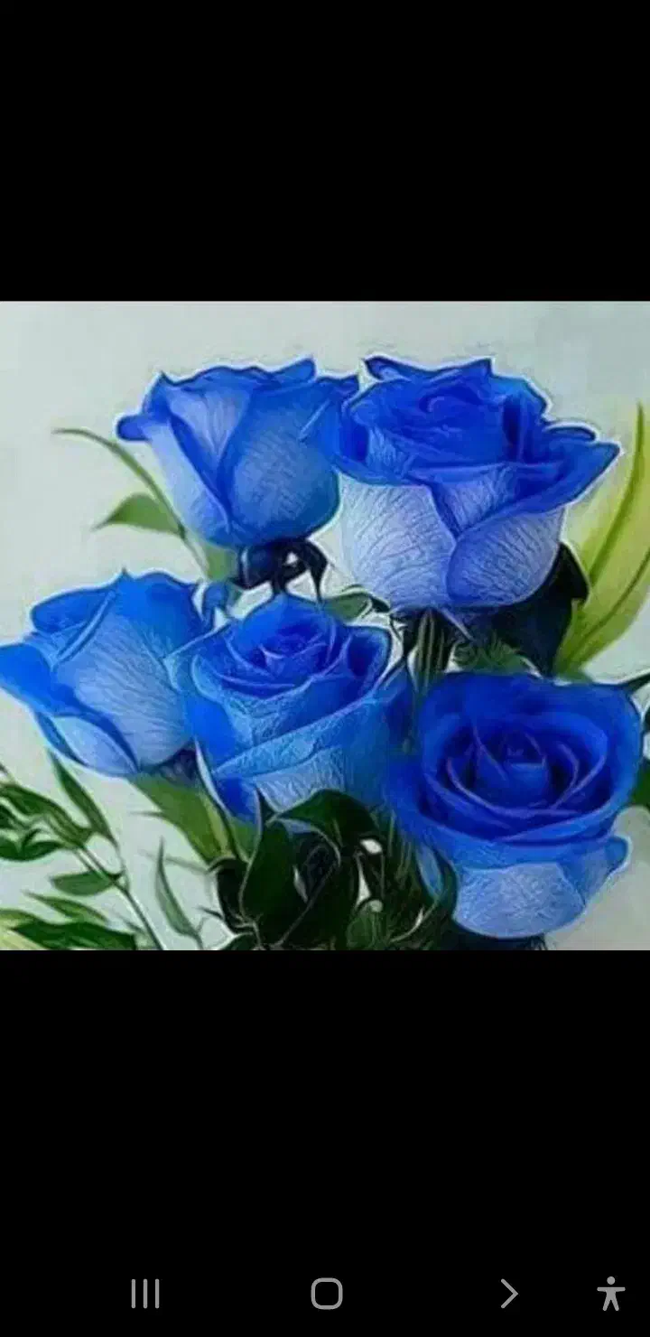 و   ا    م|خدمات رایانه‌ای و موبایل|قم, صادقی|دیوار