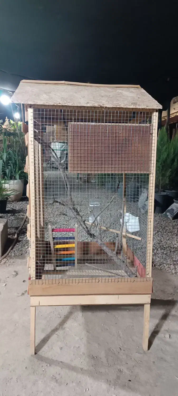 قفس چوبی پرندگان|لوازم جانبی حیوانات|پیشوا, |دیوار