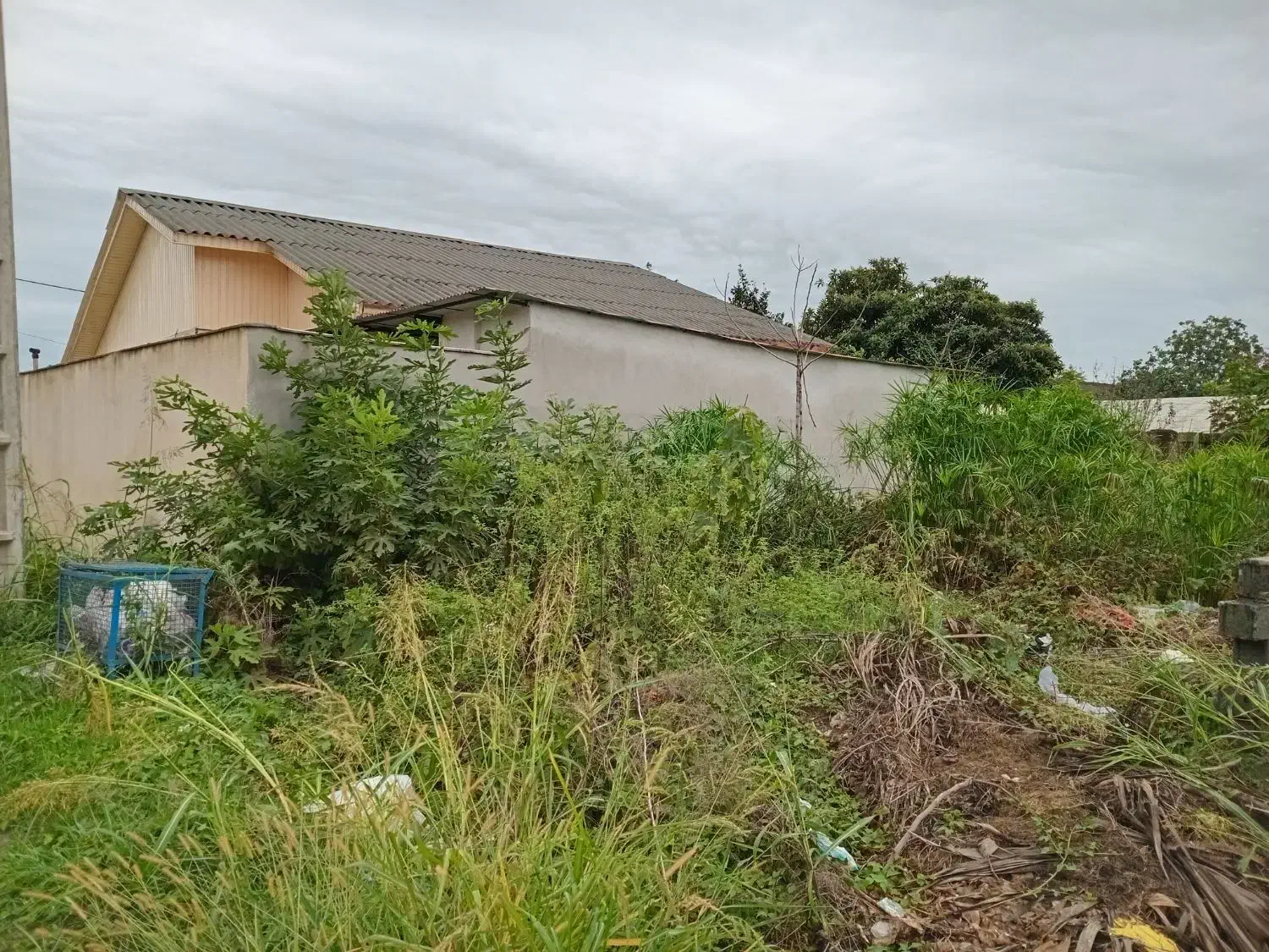 فروش زمین. داخل بافت ۲۰۰متری.|فروش زمین و ملک کلنگی|آمل, |دیوار