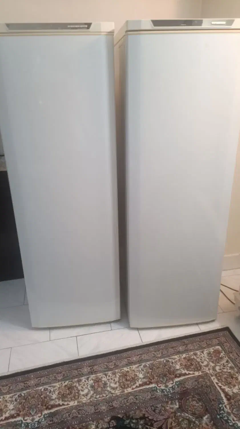یخچال فریزر دوقلو|یخچال و فریزر|ری, جوانمرد قصاب|دیوار