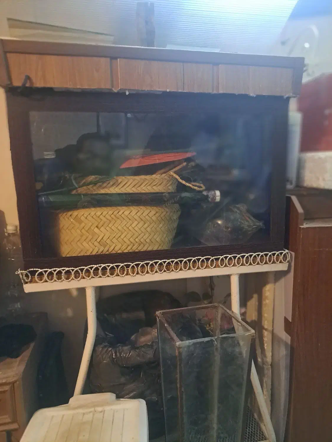 اکواریوم باپایه وکلبه|ماهی|اصفهان, مسجد مصلی|دیوار