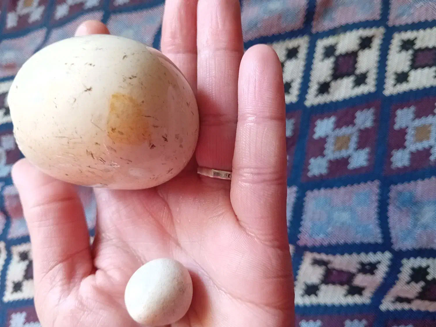 سنگ اسیاب ازمایش شوده|کلکسیون اشیاء عتیقه|کوهسرخ, |دیوار