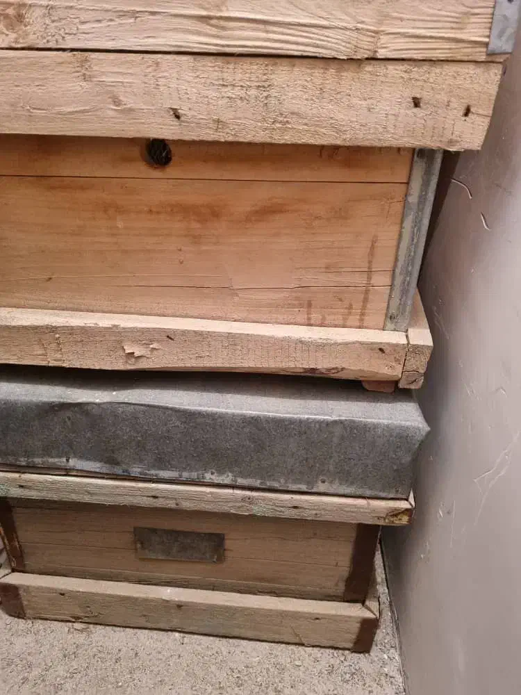 کندو زنبور|لوازم جانبی حیوانات|محلات, |دیوار