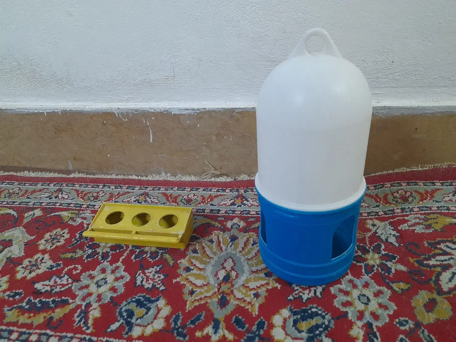 تعدادی ظرف اسلایدها ببین متنوع هست و مفت|لوازم جانبی حیوانات|جهرم, |دیوار