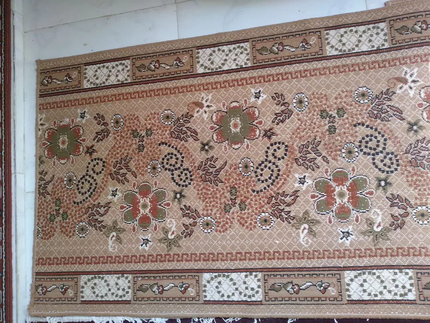 گلیم روپله وپاگرد|گلیم، جاجیم، گبه|تربتحیدریه, رضاشهر|دیوار