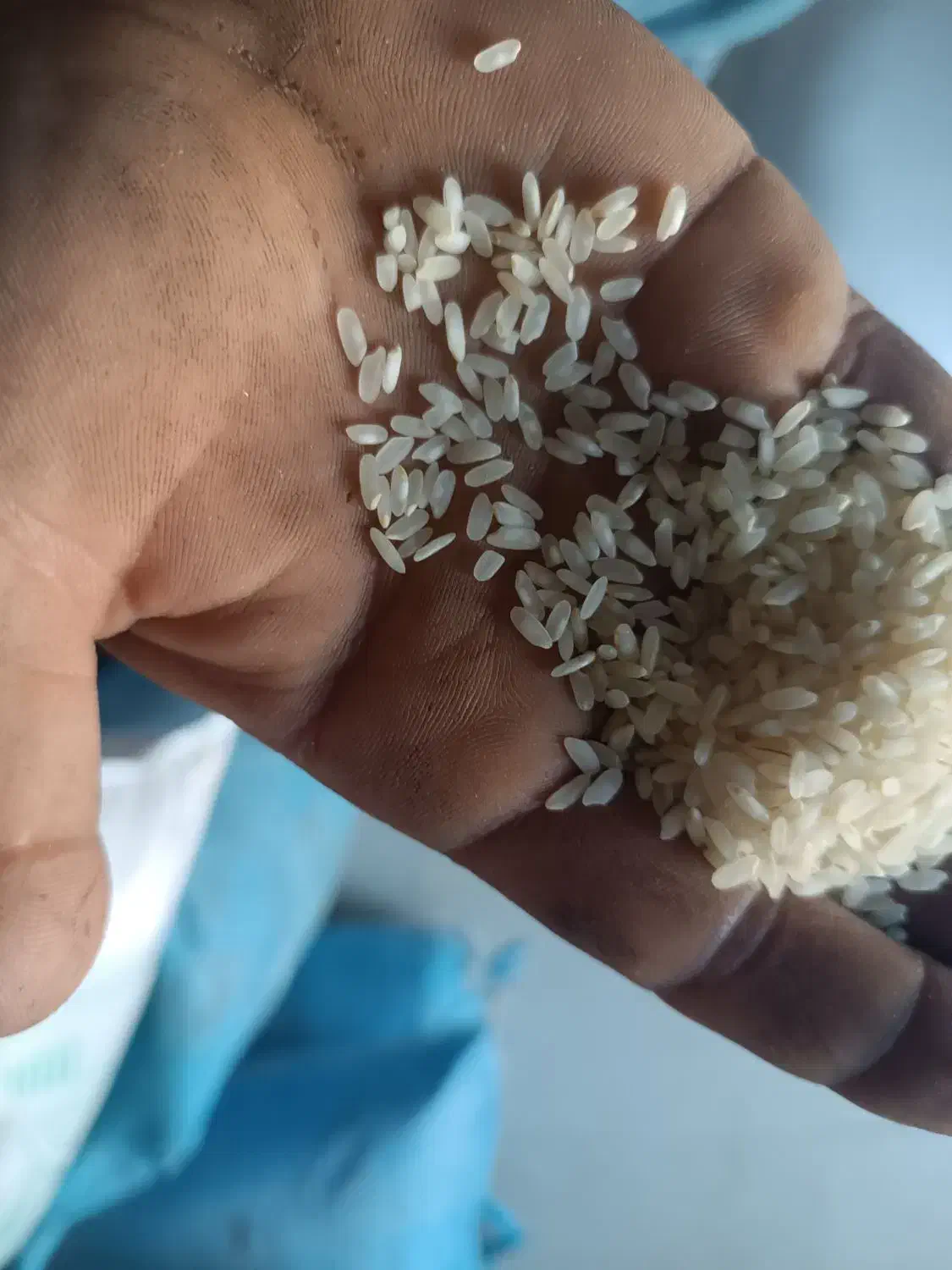 خورده برنج وبرنج کامفیروزی ارگانیک|خوردنی و آشامیدنی|کر, |دیوار