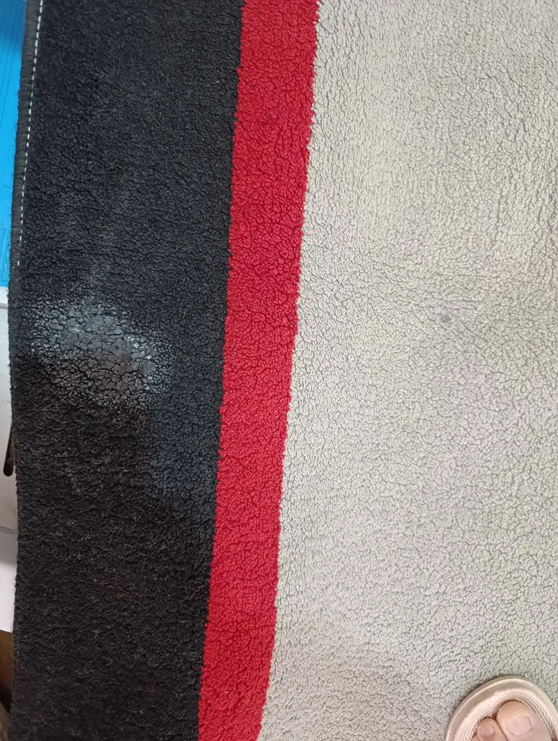 لوازم منزل|گلیم، جاجیم، گبه|تهران, فاطمی|دیوار