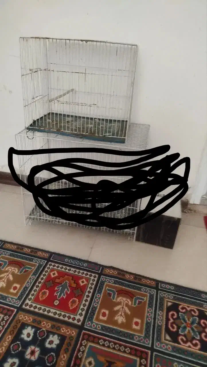 قغس|لوازم جانبی حیوانات|مشهد, حضرت حجت|دیوار