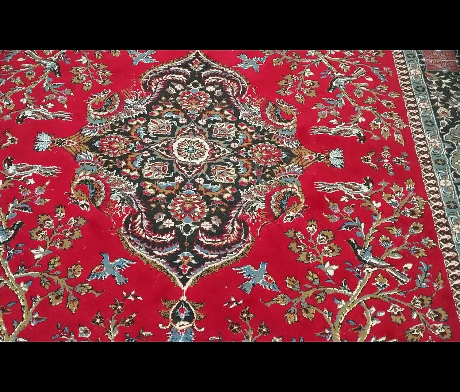 فرش ۶متری|فرش|محمدیه-قزوین, |دیوار