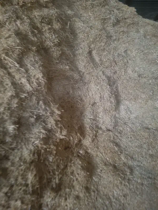 50تن کاه دیم|لوازم جانبی حیوانات|گل تپه, |دیوار