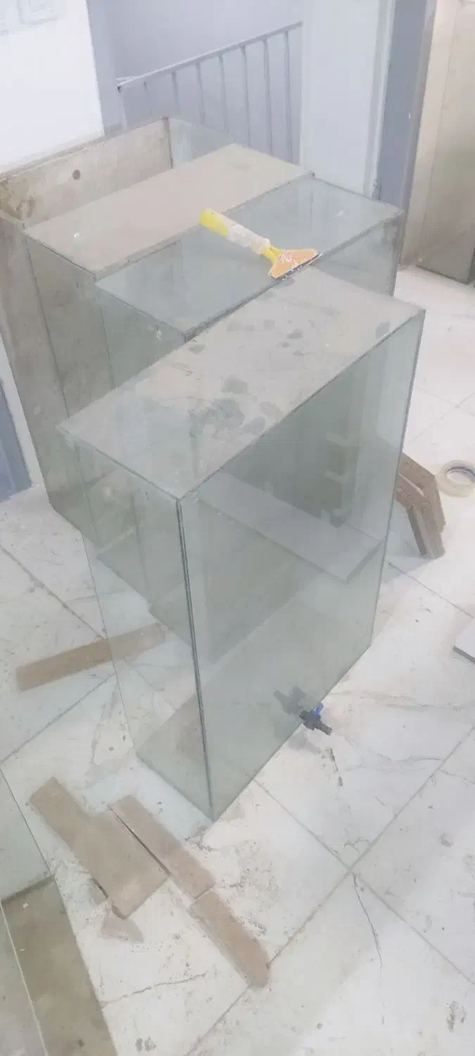 شیشه|ماهی|بیرجند, |دیوار