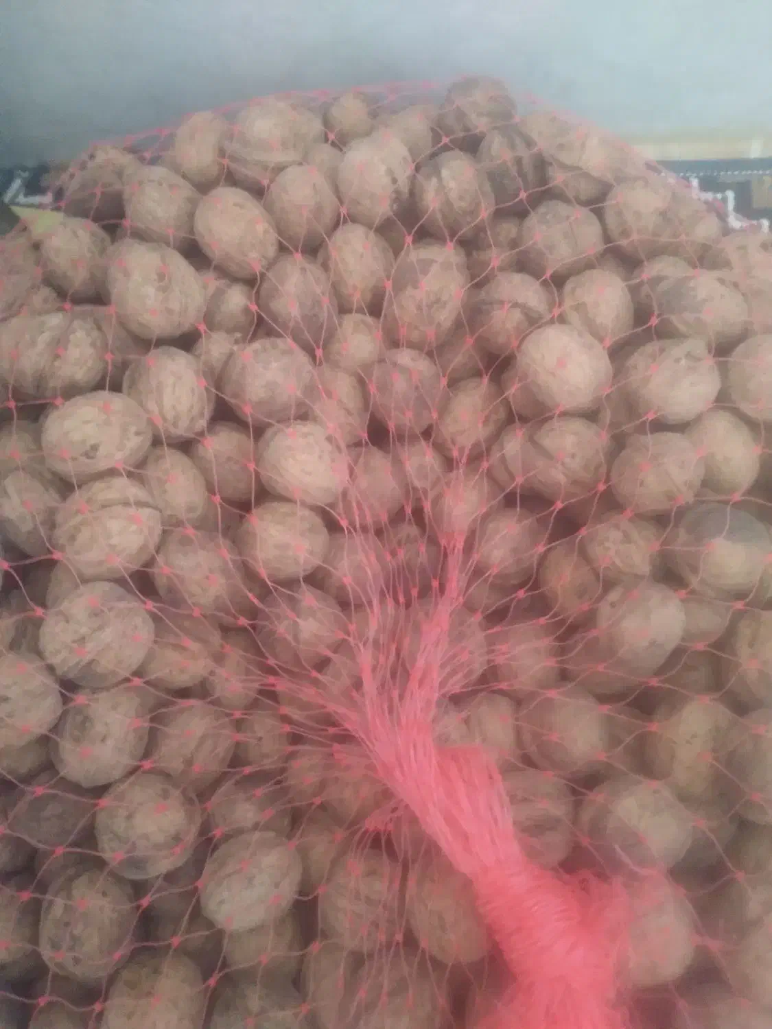 گردو چت|خوردنی و آشامیدنی|ایجرود, |دیوار