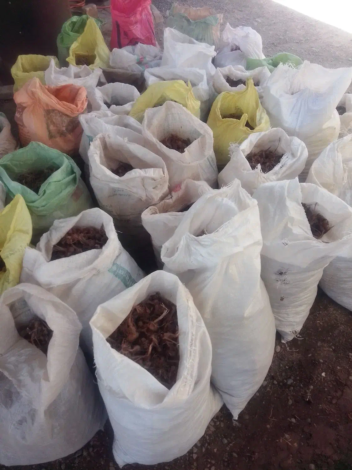 کود گوسفندی به فروش میرسد|خدمات باغبانی و درختکاری|نیشابور, خیام|دیوار