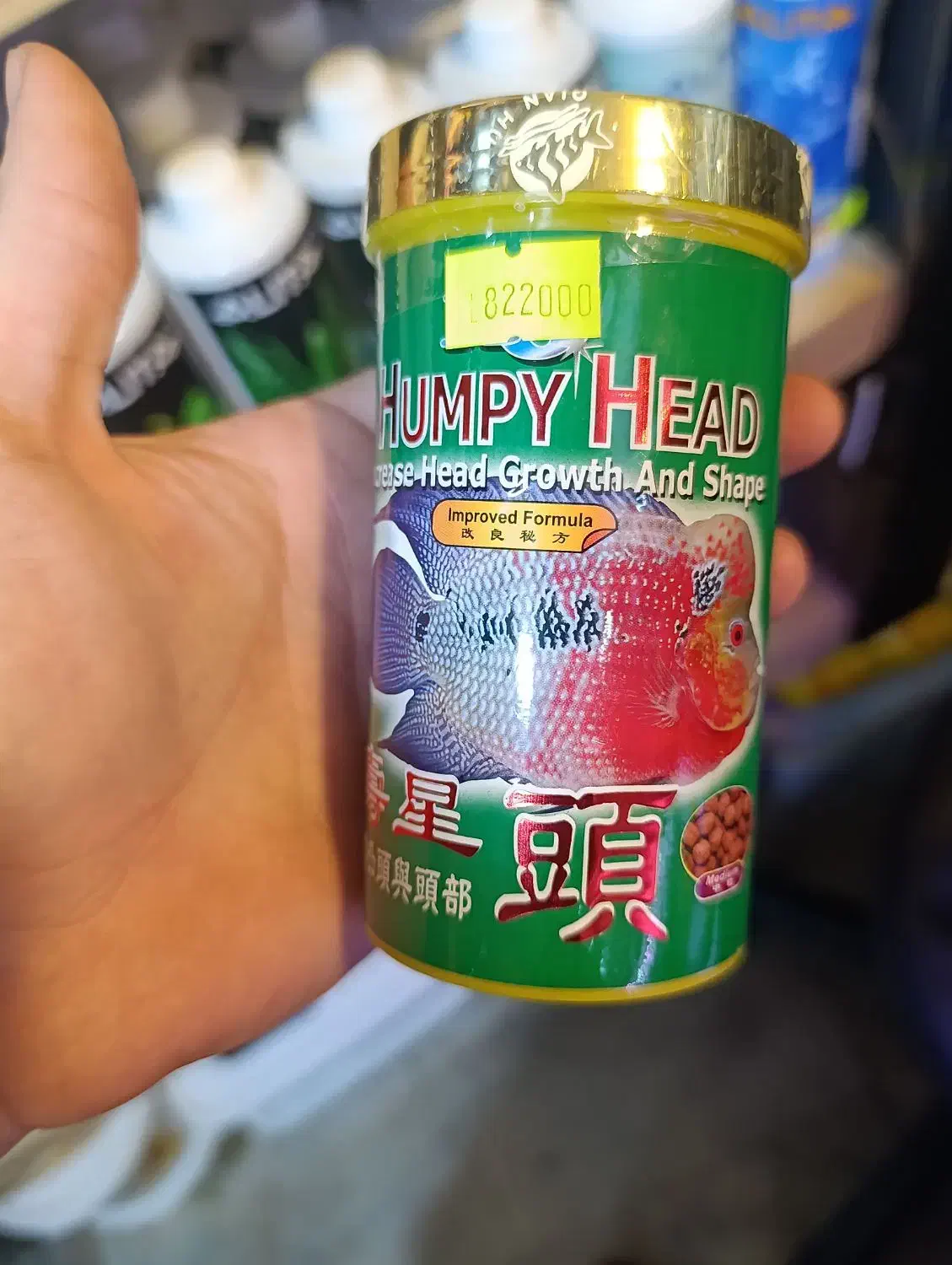 غذای تخصصی ماهی فلاور|ماهی|رشت, پل تالشان|دیوار