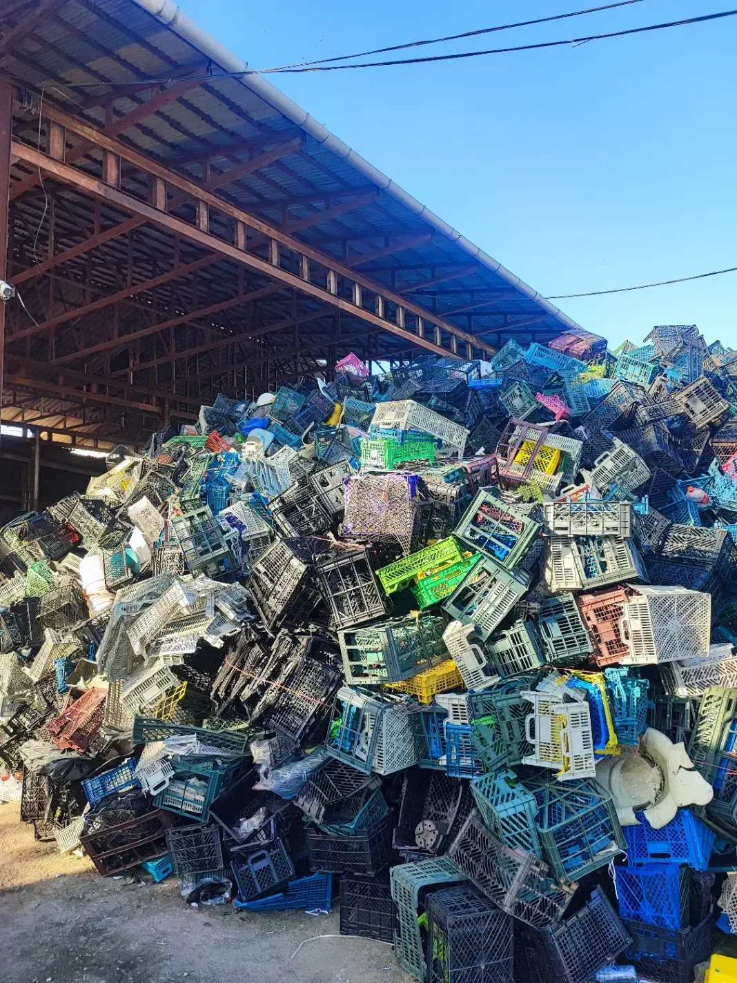 تفکیک و آسیاب سبد|استخدام صنعتی، فنی، مهندسی|رامسر, |دیوار