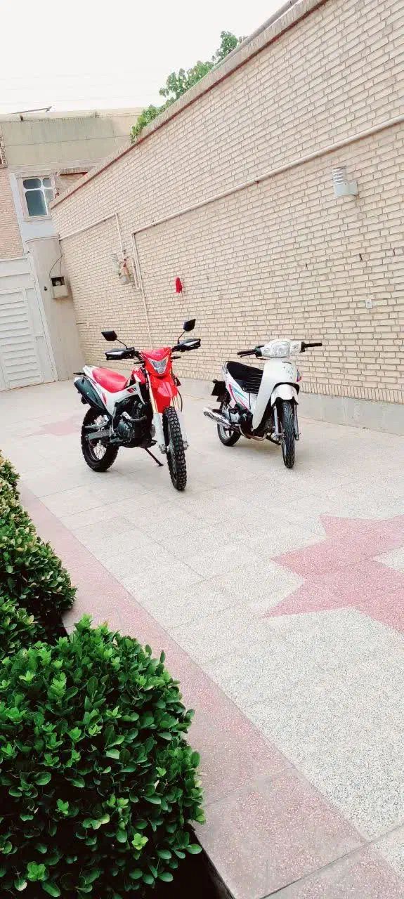 بیکلاچ وترل|موتورسیکلت|یزد, |دیوار