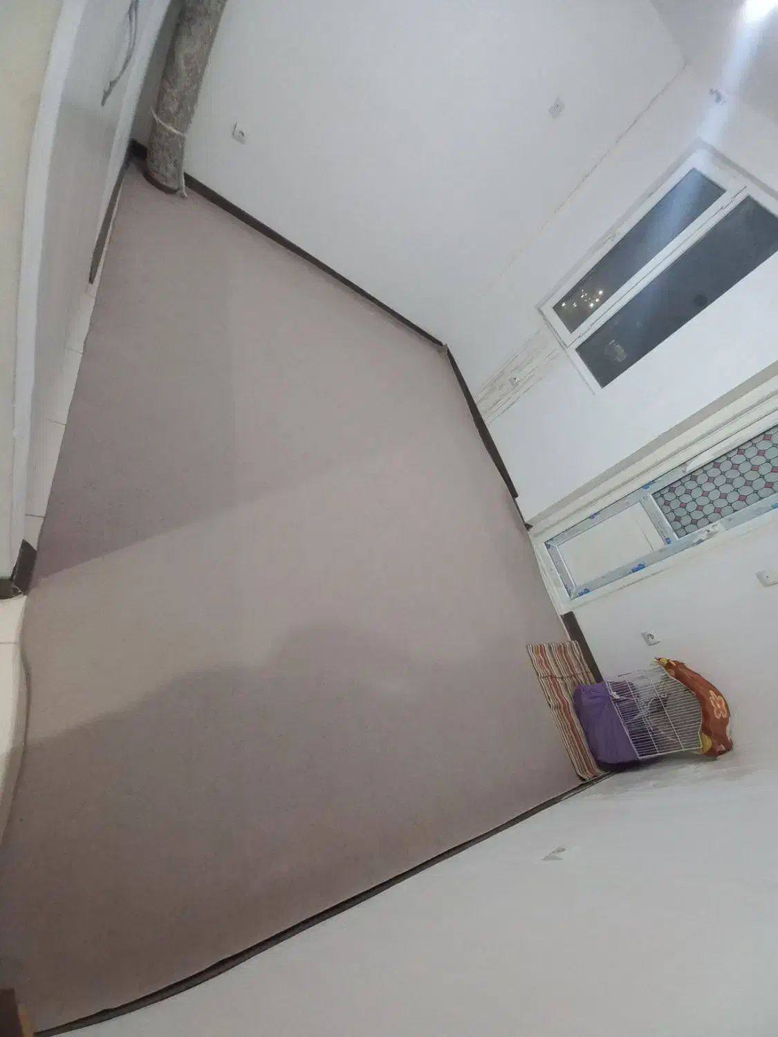 موکت ۱۲ متری|موکت|آبادان, |دیوار