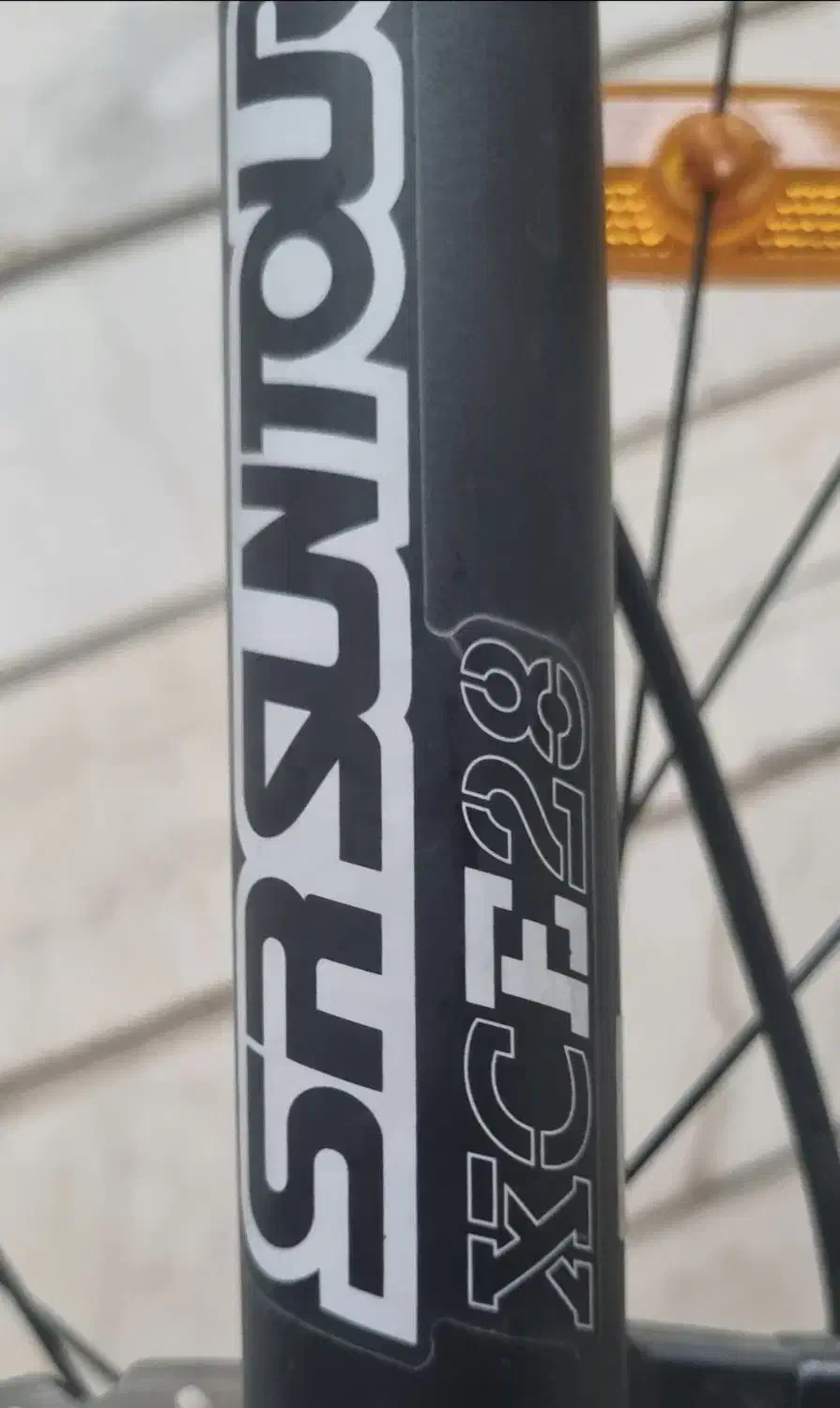 energy exp0 29|دوچرخه، اسکیت، اسکوتر|اصفهان, پروین|دیوار