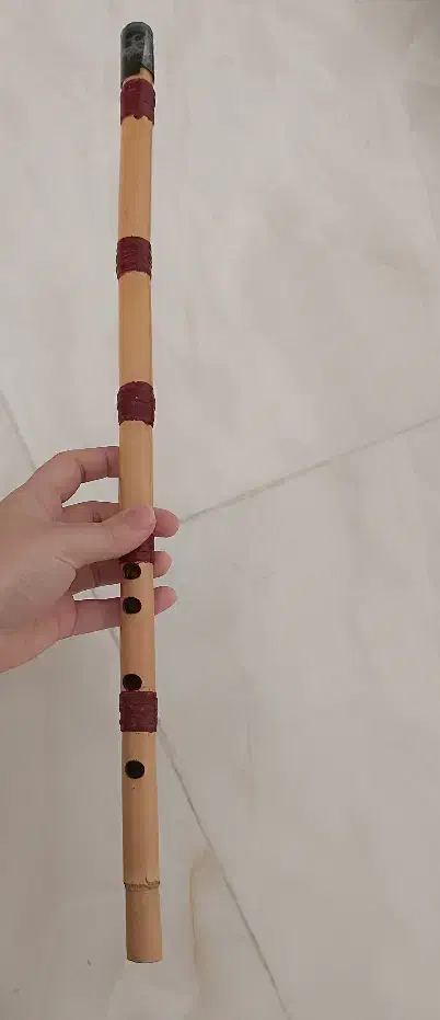 فروش نی رسولی نو|سازهای سنتی|تهران, فلسطین (میدان انقلاب)|دیوار