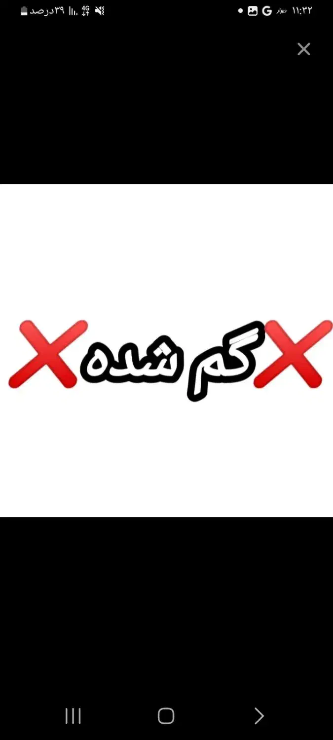 فلش گم شده|اشیا|نورآباد, |دیوار