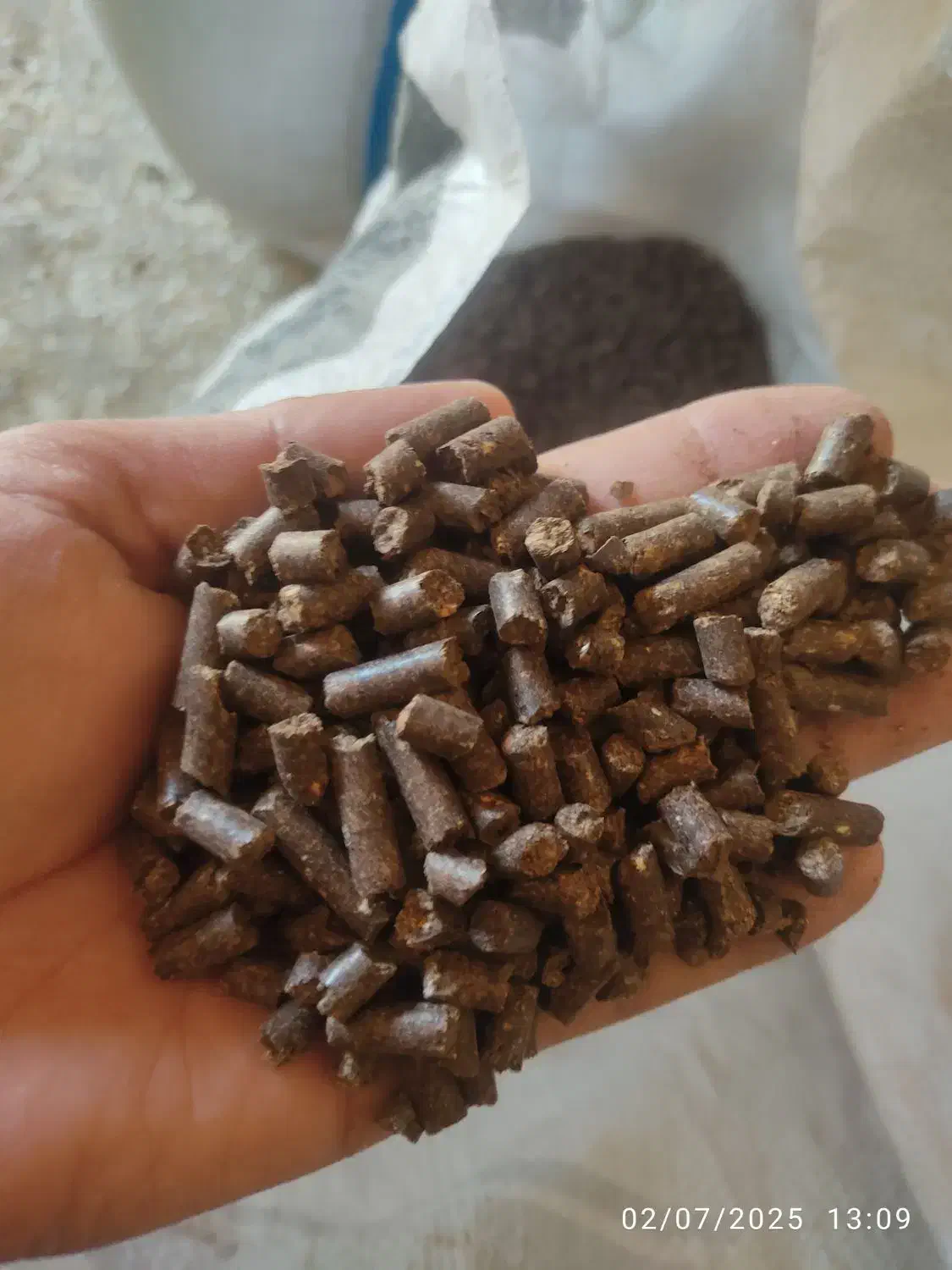 خواک دامی|حیوانات مزرعه|رزن, |دیوار