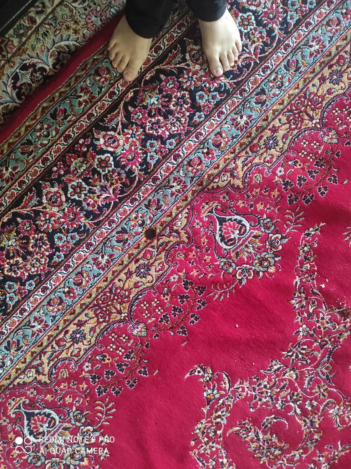 فرش ۱۲ متری|فرش|کرمانشاه, |دیوار