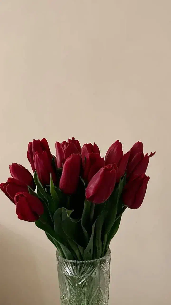 سرویس برای مدرسه میخوام|خودرو اجارهای|سنقر, |دیوار