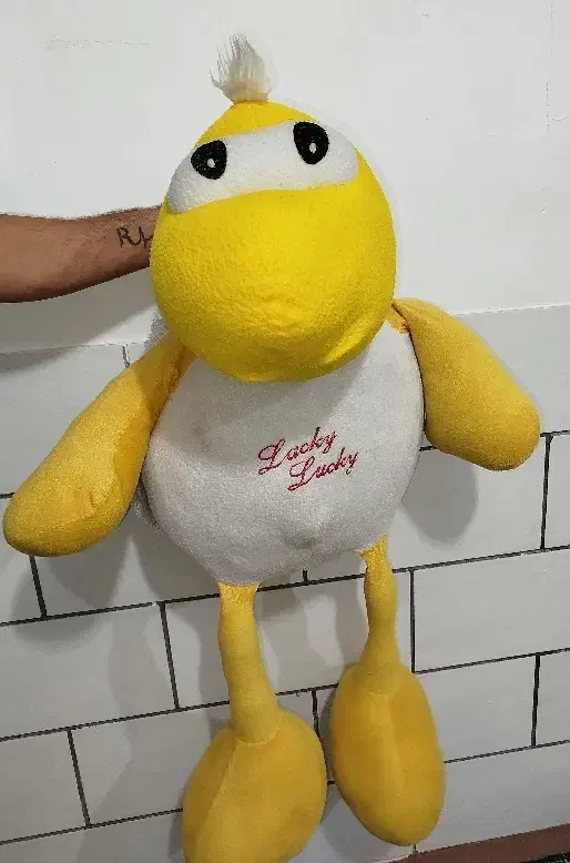 عروسک بردسیر|اسباب‌بازی بچه|کرمان, |دیوار