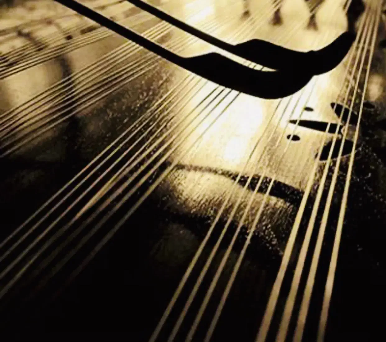 کوک سنتور|سازهای سنتی|کرمان, |دیوار