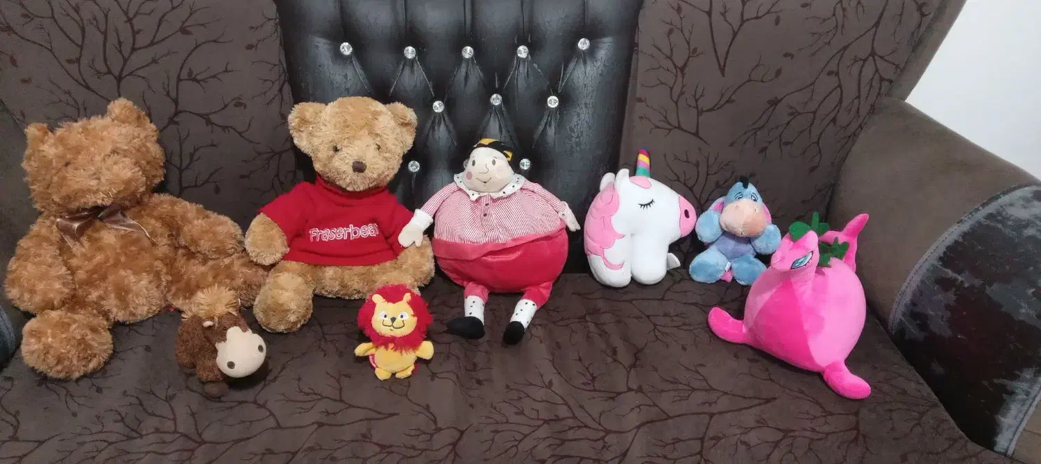 تدی موزیکالی|کلکسیون و سرگرمی|مهاباد (آذربایجان غربی), |دیوار