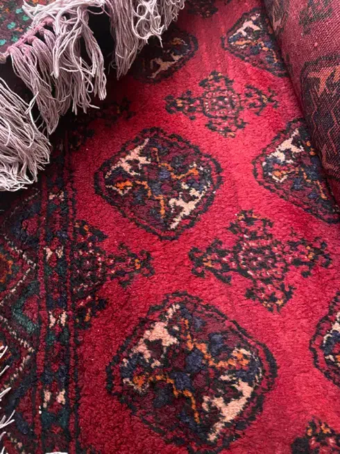 فرش دستبافت پشمی|فرش|مشهد, الهیه|دیوار