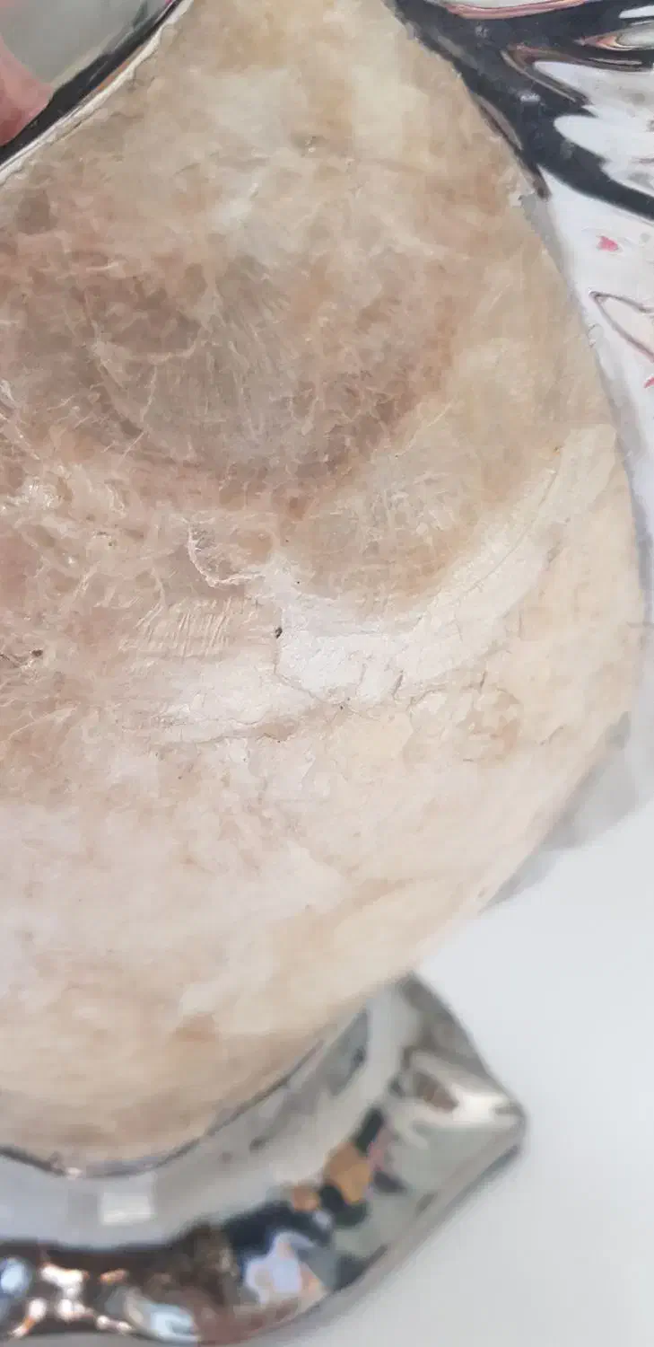 مجسمه ماهی|مجسمه، تندیس، ماکت|کرج, برغان|دیوار