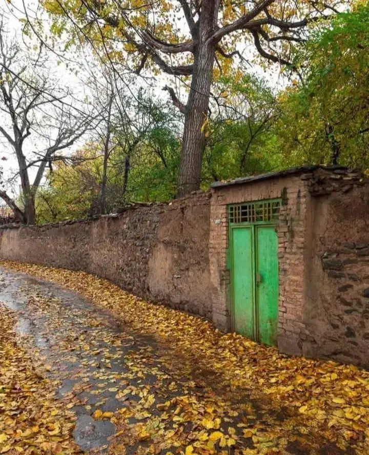 رهن و اجاره|اجارهٔ دفتر صنعتی، کشاورزی، تجاری|رفسنجان, |دیوار