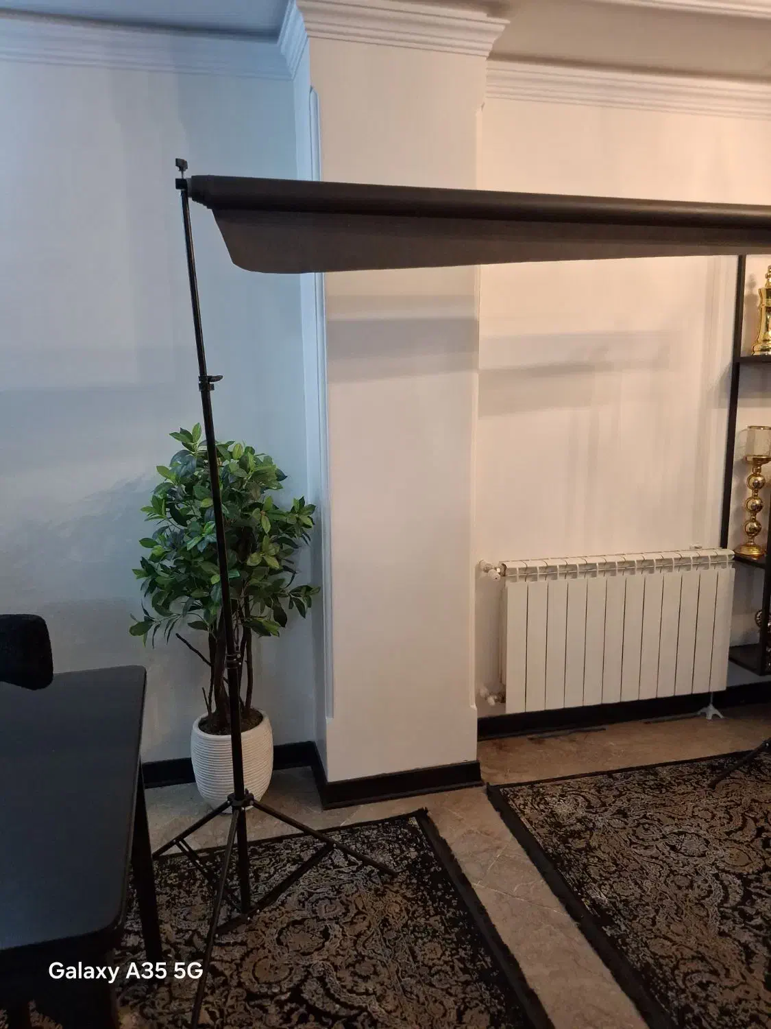 بک گراند عکاسی نو نو|دوربین عکاسی و فیلم‌برداری|تهران, مرزداران|دیوار