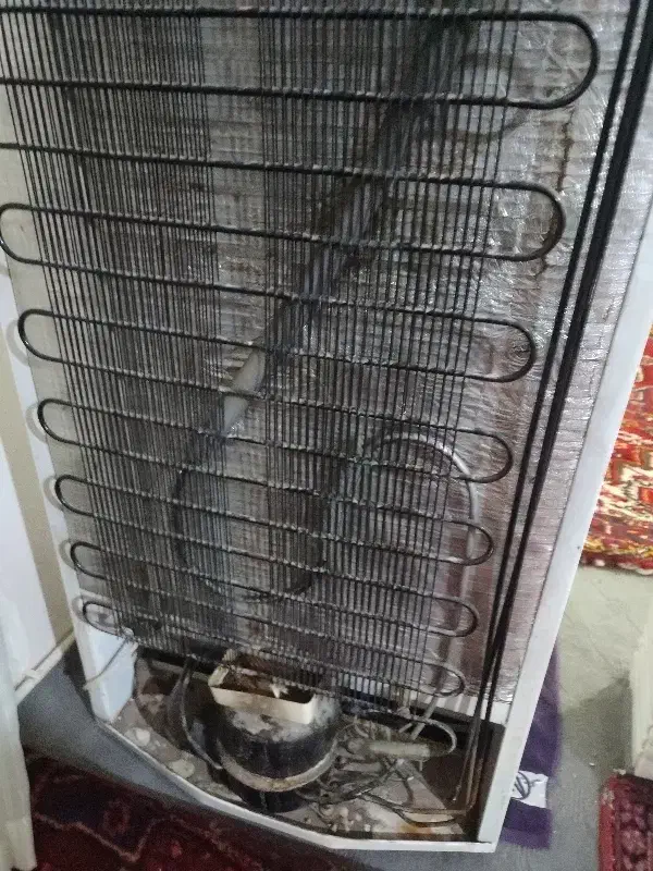 یخچال|یخچال و فریزر|تبریز, |دیوار