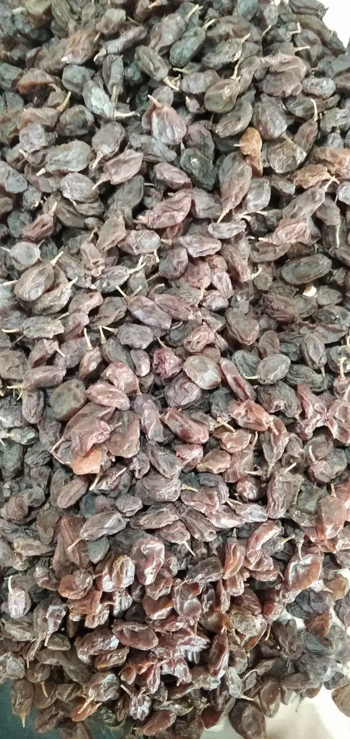 کشمش آفتابی|خوردنی و آشامیدنی|شهرکرد, |دیوار