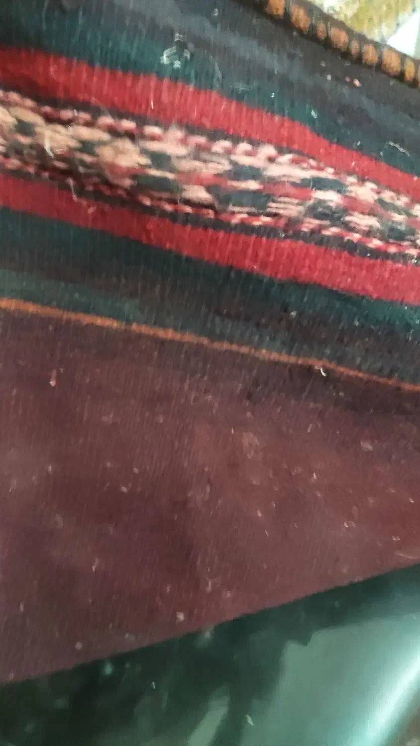 قالی پشمی 1 متری|گلیم، جاجیم، گبه|زاهدان, |دیوار