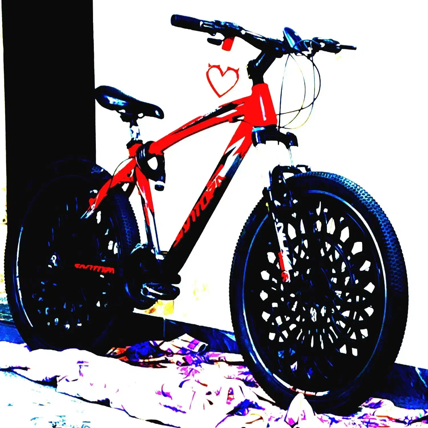 دوچرخه|دوچرخه، اسکیت، اسکوتر|قدس, شهر‌قدس|دیوار