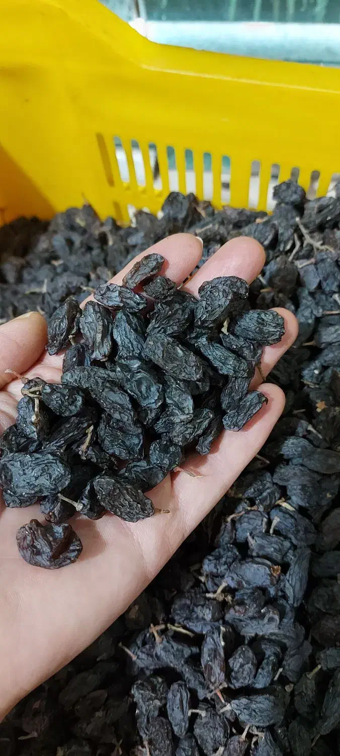 فخری و کشمش|خوردنی و آشامیدنی|میاندوآب, |دیوار