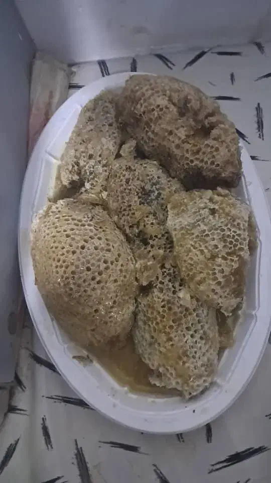 عسل وحشی خوزستان|خوردنی و آشامیدنی|تهران, اتابک|دیوار